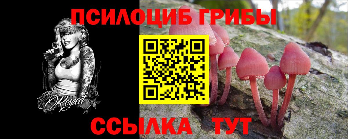 Псилоцибиновые грибы MAGIC MUSHROOMS  где найти наркотики  Псилоцибиновые грибы ЛСД  Апрелевка  Вход с VPN 